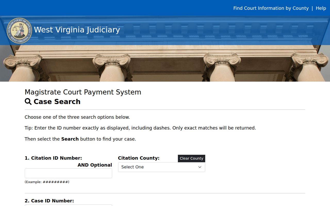 Mason County docket search citation and case ID choices