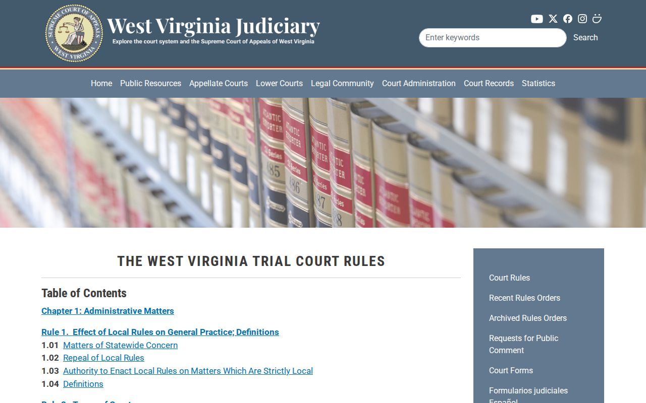 Mason County civil docket public access and privacy rules